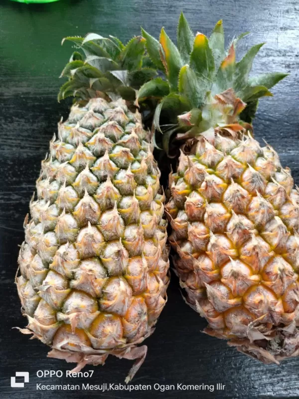 Nanas
